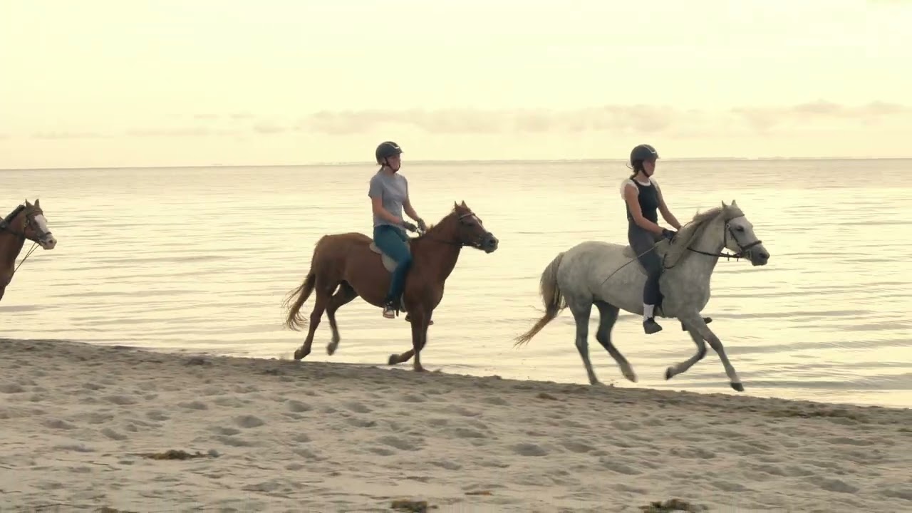 2024-08-30 Stenderup Strand Ponys