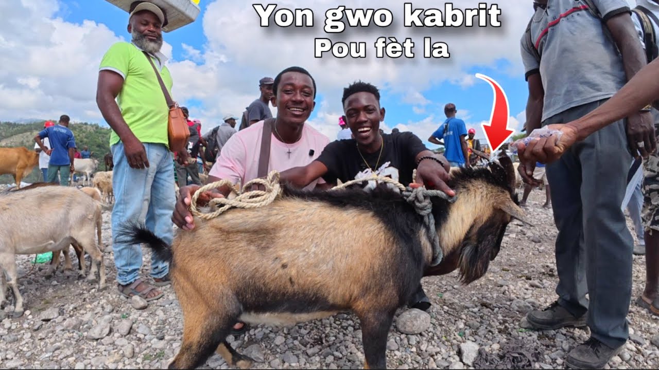 Nou al achte kabrit pou n manje pou anniversaire nou 1er fevrier ansanm ak tout zanmi nou yo 
