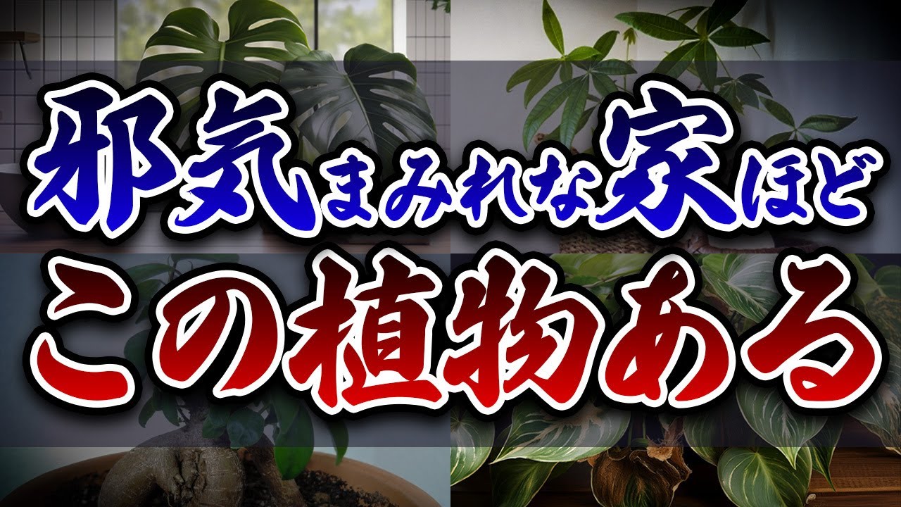この植物がある家は邪気を呼び寄せてしまっています...自分の家は呼び寄せていないか今すぐ確認してください！