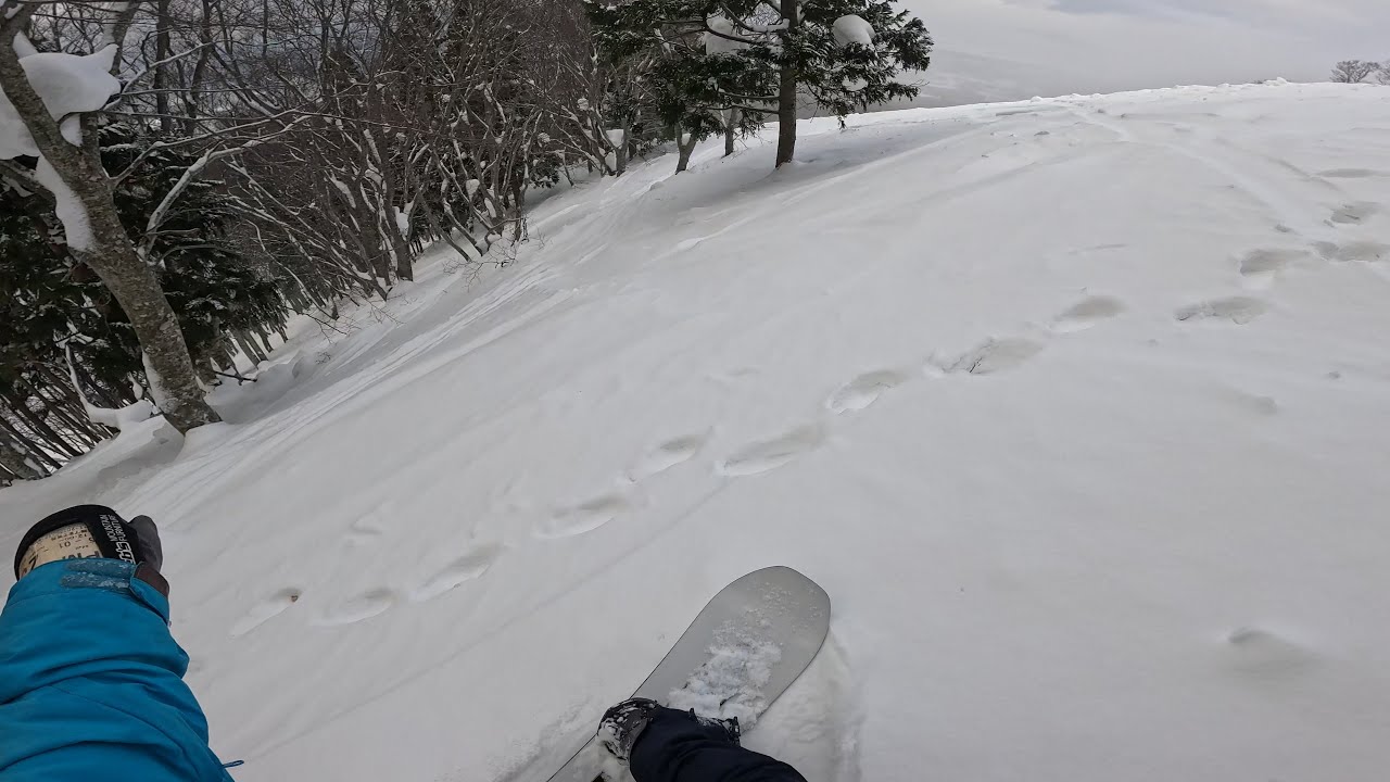 青森スプリング　ダイヤモンドペアリフト左　ツリーラン
