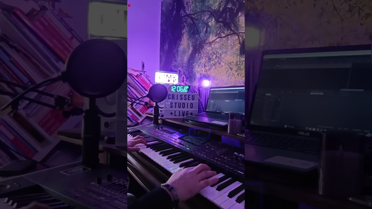#V616 🎹🎺🎷🚦Sârbă (Cel mai mare rachier)