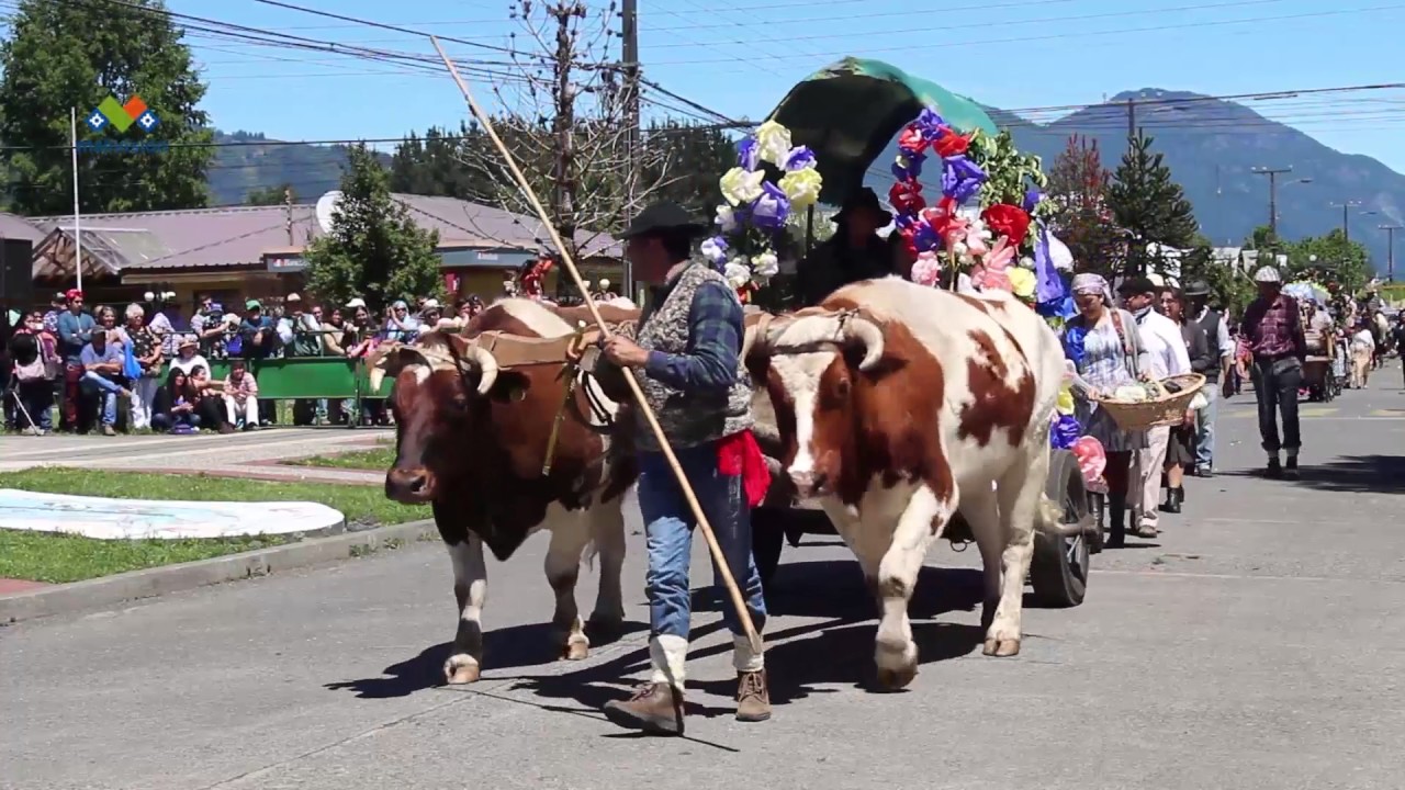 Desfile Fiesta del Baqueano (Cuarta Edición)