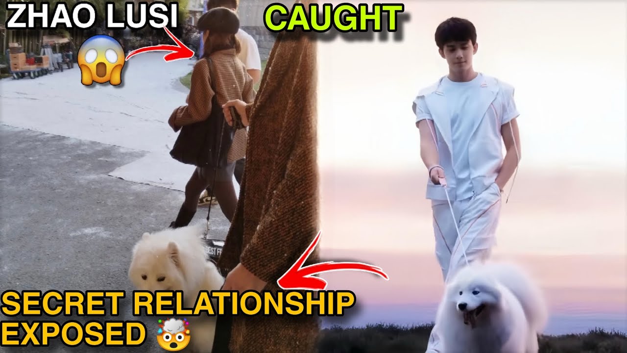 Zhao Lusi & Wu Lei Caught Walking the SAME Dog?! 😱 Secret Relationship EXPOSED!