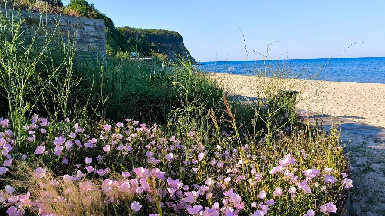 Plaża IRAKLI Bułgaria