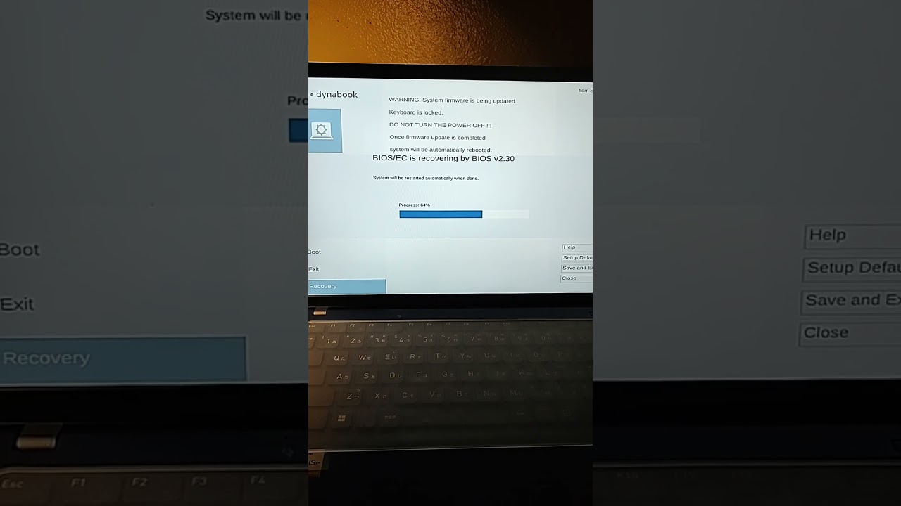 2026-01-28 [We] 20-44 dynabook X83 Firmware Update
