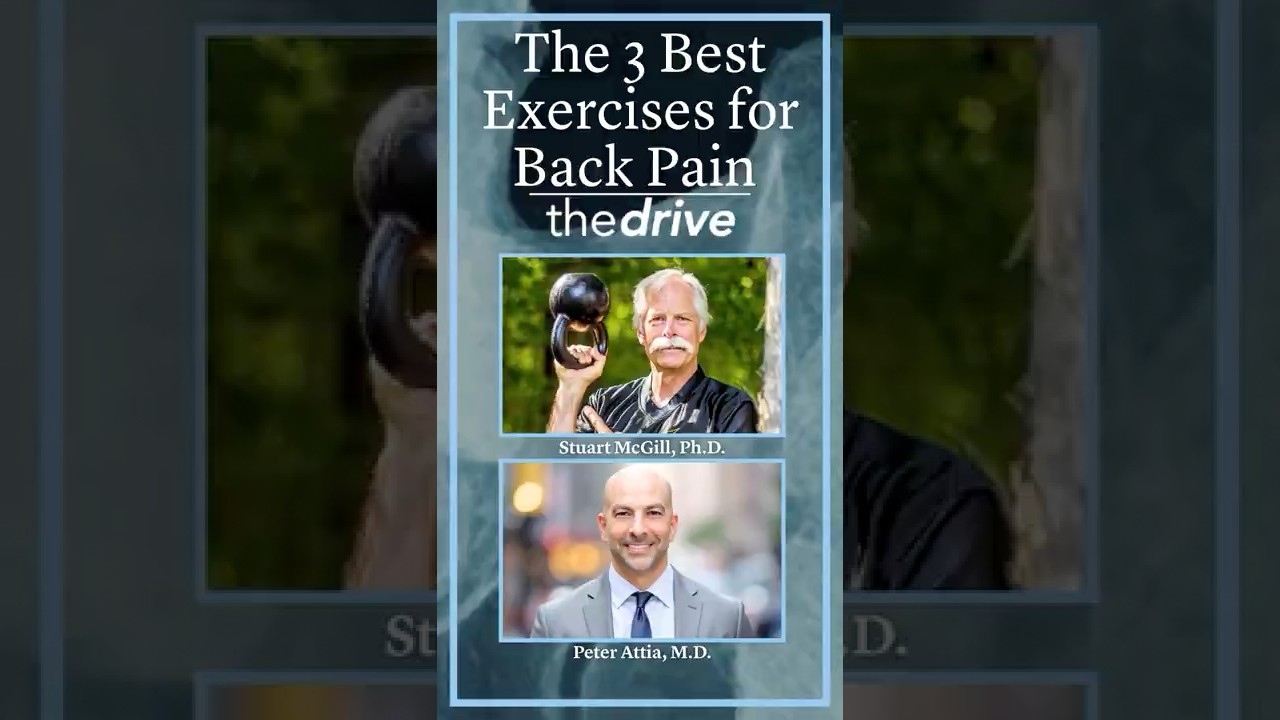 The 3 Best Exercises for Back Pain Relief  | Stuart McGill, Ph.D.