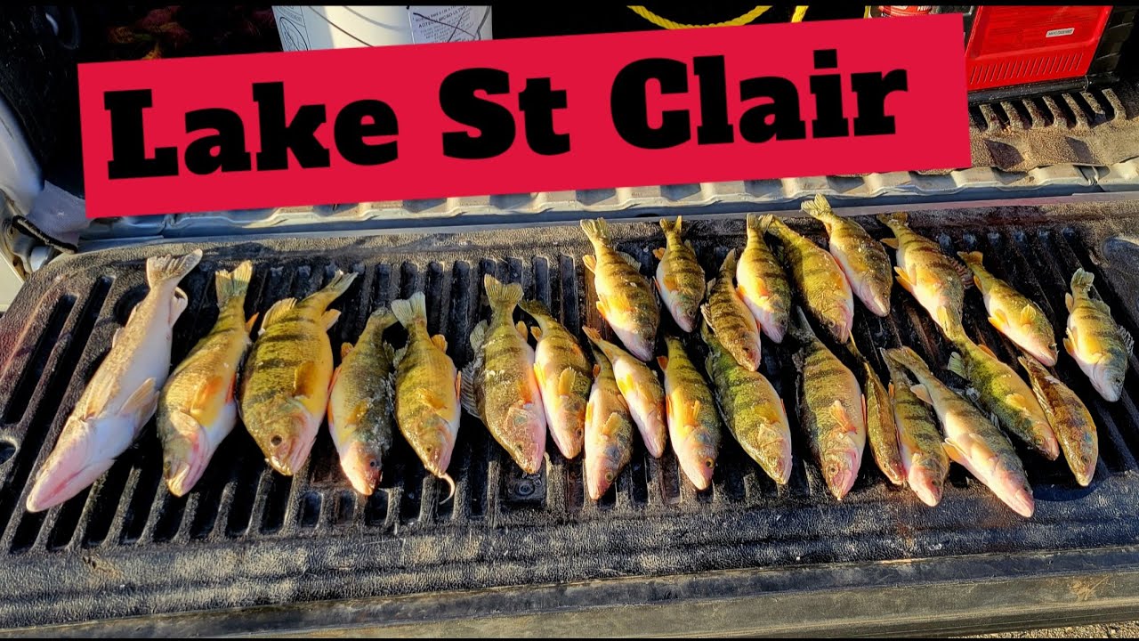 Lake St Clair Perch Limit- High Wind Ice Fishing