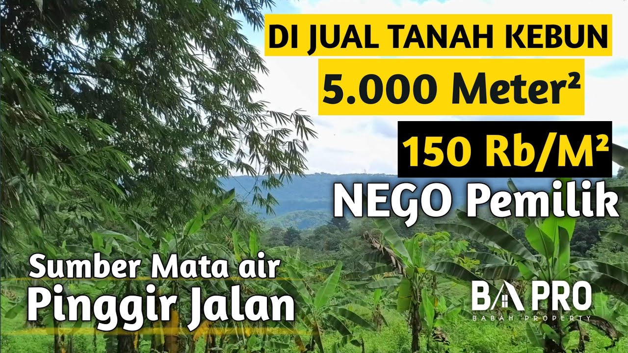 JUAL KEBUN PINGGIR JALAN AKSES MASUK MOBIL LUAS 5.000 METER² 
