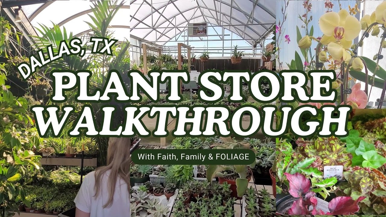 Go plant shopping with me! | Plant store walkthrough in Dallas, Texas