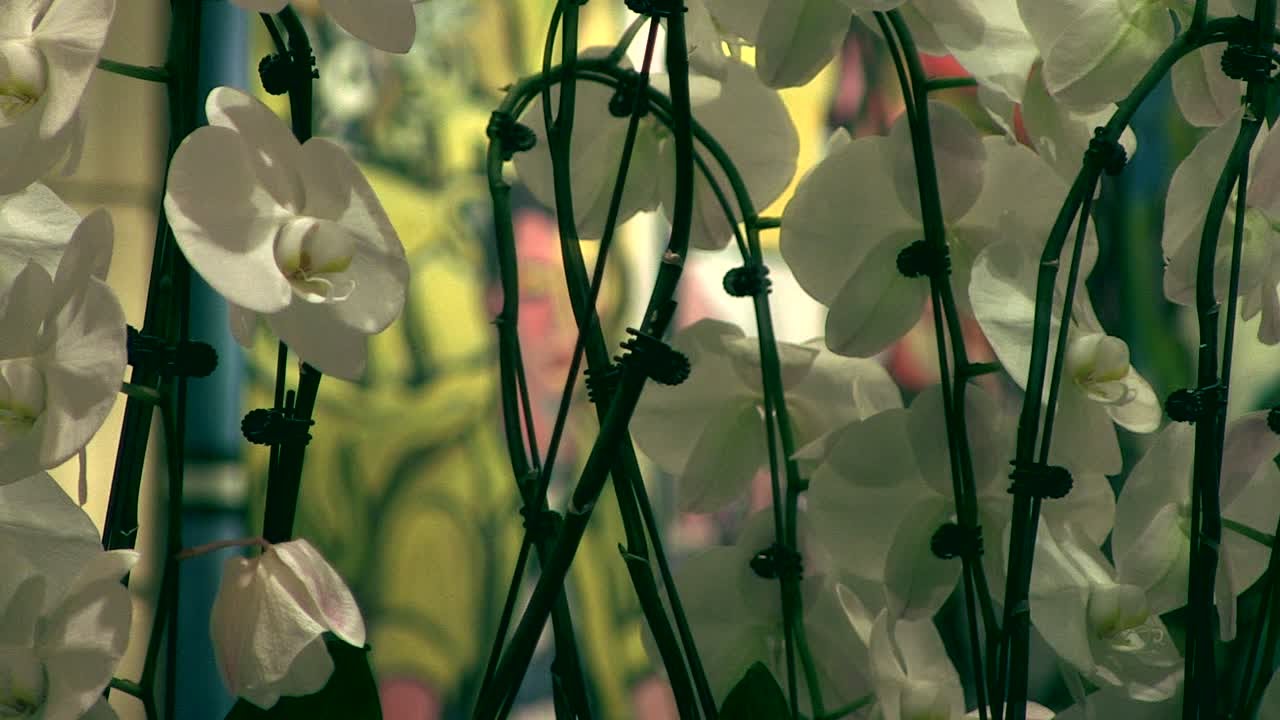 Dans les coulisses des palaces parisiens