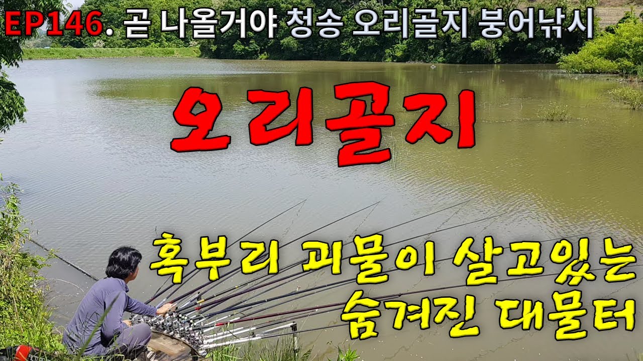 EP146. 곧 나올거야 | 혹부리 대물붕어가 살고있는 숨겨진 대물터 | 청송 | 오리골지 | 붕어낚시 | Crucian Carp Fishing