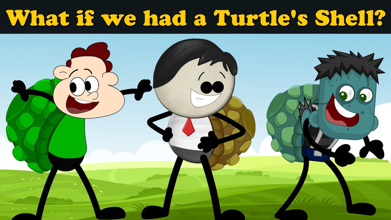 What if we had a Turtle's Shell? + more videos | #aumsum #kids #children #education #whatif
