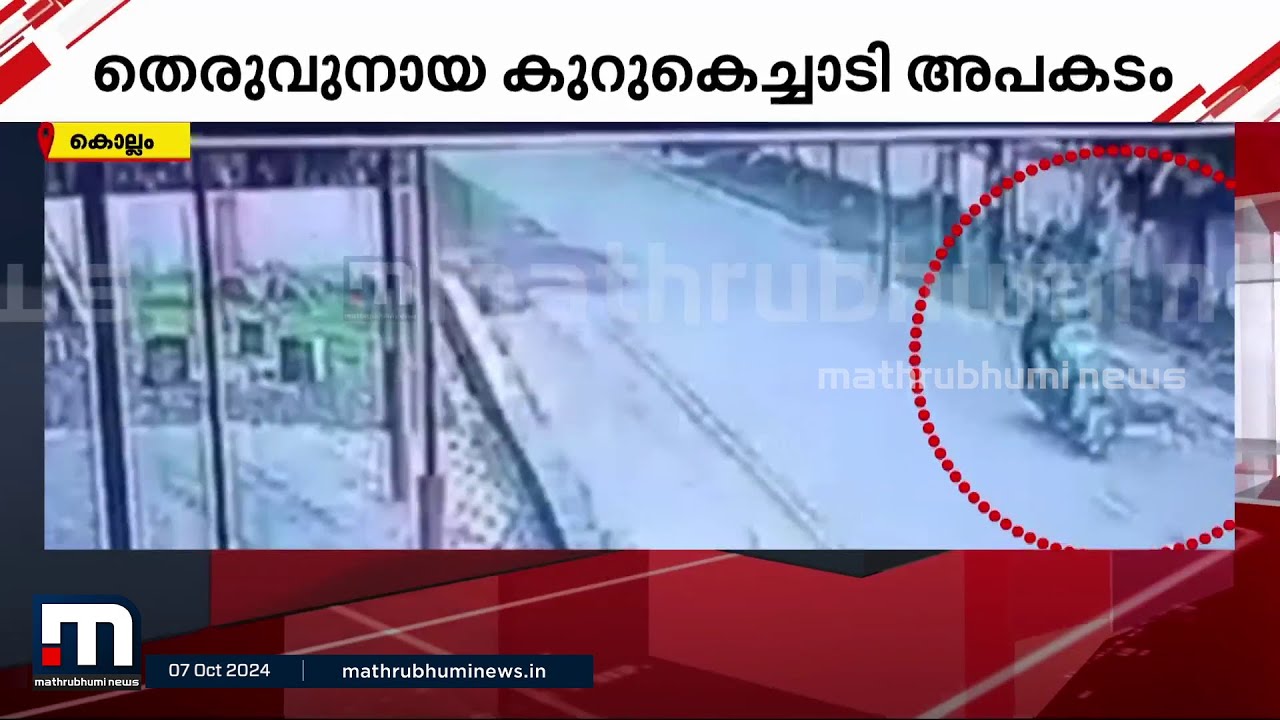 തെരുവുനായ കുറുകെ ചാടി; സ്കൂട്ടർ യാത്രക്കാരിക്ക് ദാരുണാന്ത്യം | Kollam | Street Dog