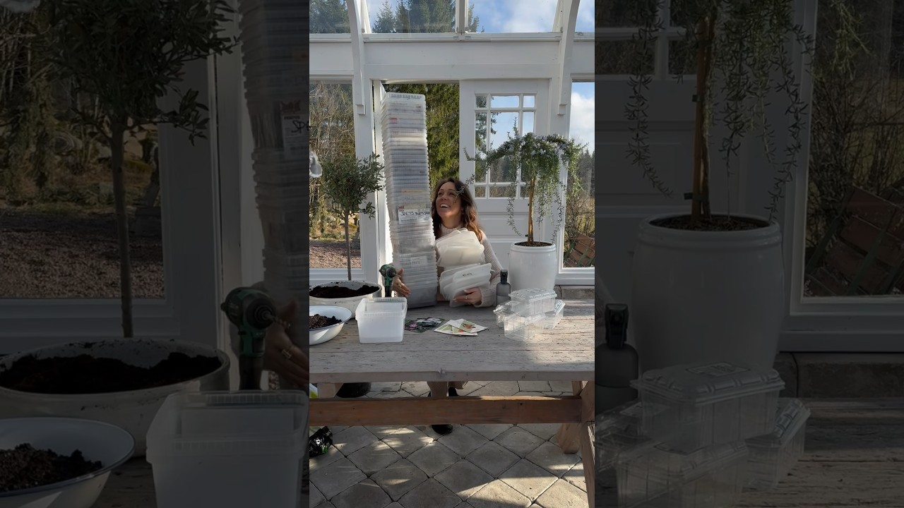 Kalls&aring; blommor i godisl&aring;dor p&aring; 5 minuter 🌸🌱