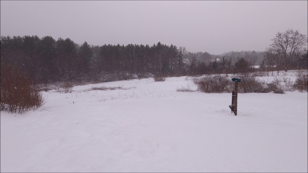 ❄❄REAL BLIZZARD STORM SOUNDS | RELAXING WINTER SOUNDS | NO MUSIC, NO TALKING, NO LOOP