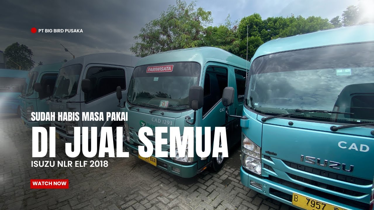 FOR SALE ALL ISUZU ELF SHORT NLR 2018 EX BLUEBIRD