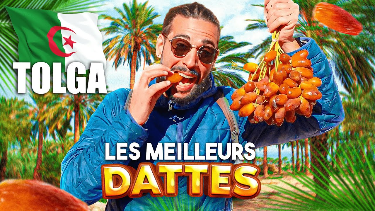 JE MANGE LES MEILLEURES DATTES DU MONDE EN ALGÉRIE 🇩🇿🔥 (TOLGA, BISKRA)