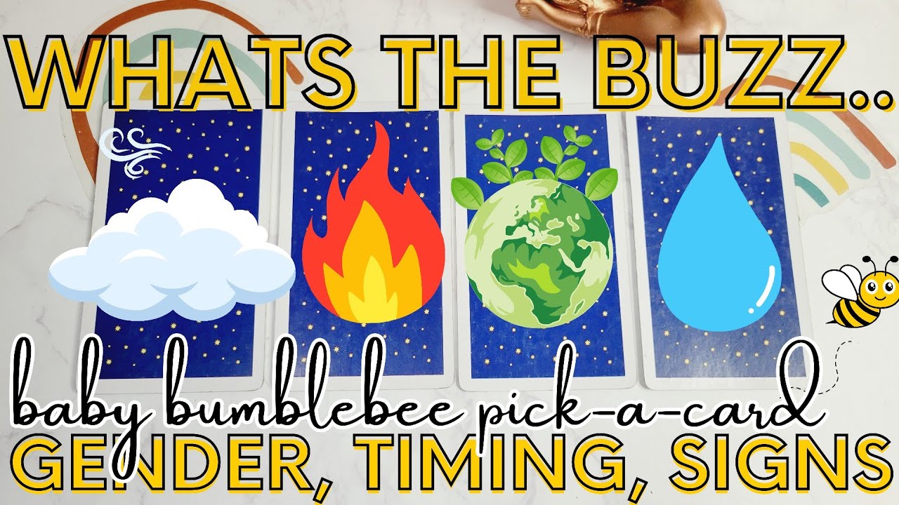 What's the Buzzzz 🐝 Baby Bumblebee Bundle | Gender, Timing, signs, etc.