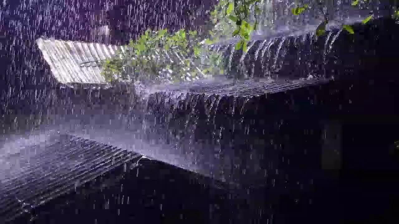 Soothing Rain on Tin Roof with Thunder | Sleep & Relaxation Sounds