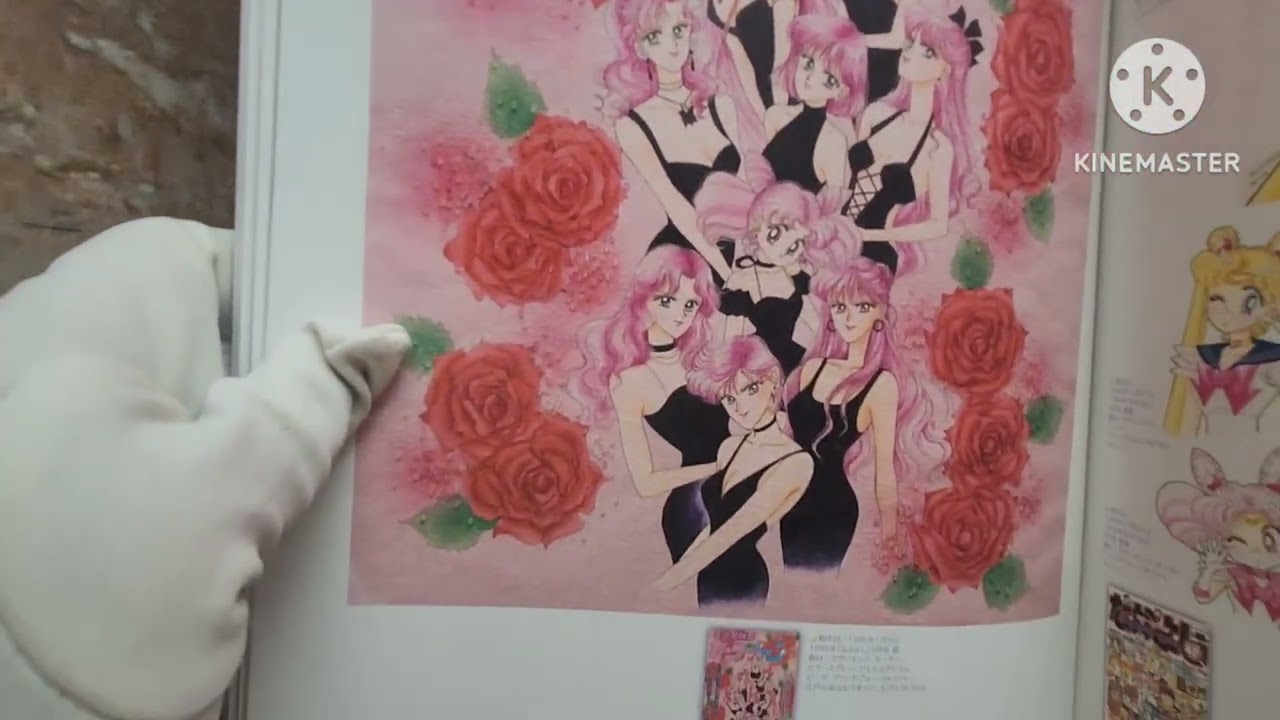 FULL Sailor Moon Art book view 1991-2024 (adult ver only) 