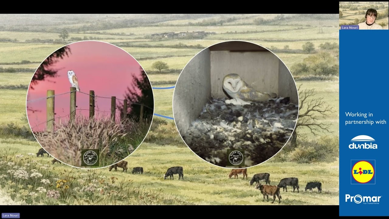 Dunbia X Lidl Sustainable Beef Programme - Farmland Birds
