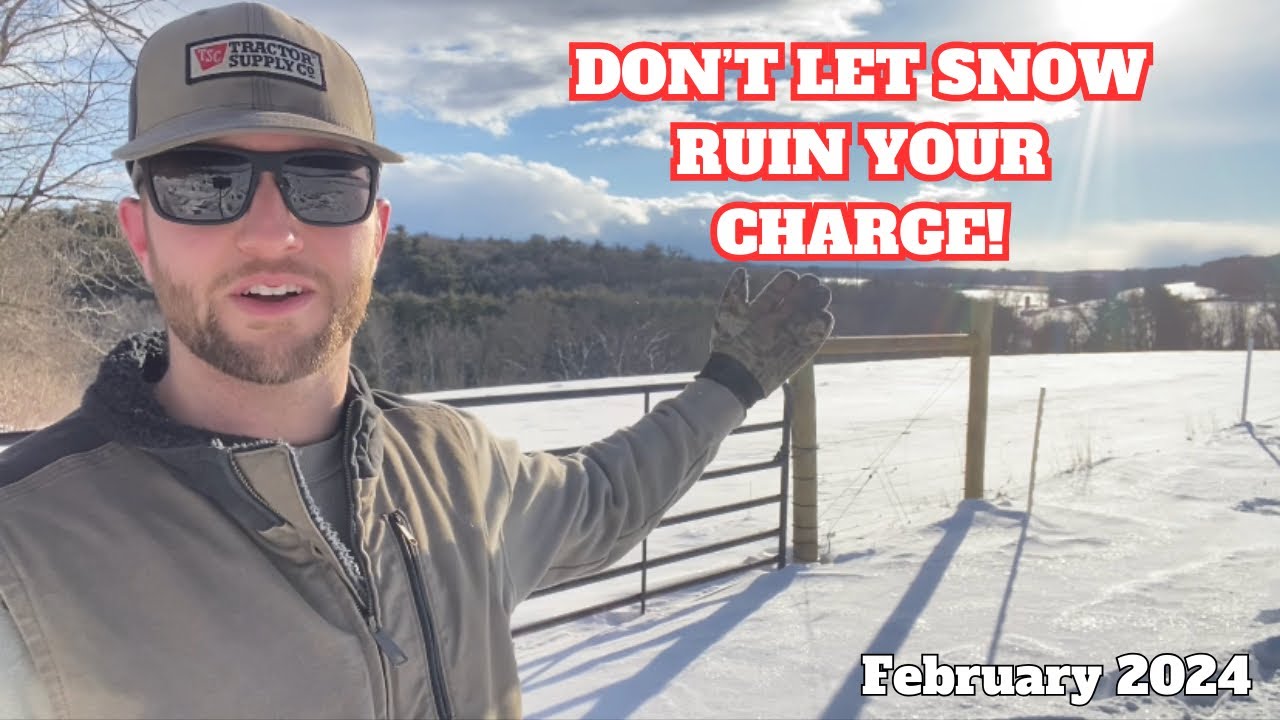 Проблемы с ограждением зимой? Не позволяйте снегу испортить вашу собаку!