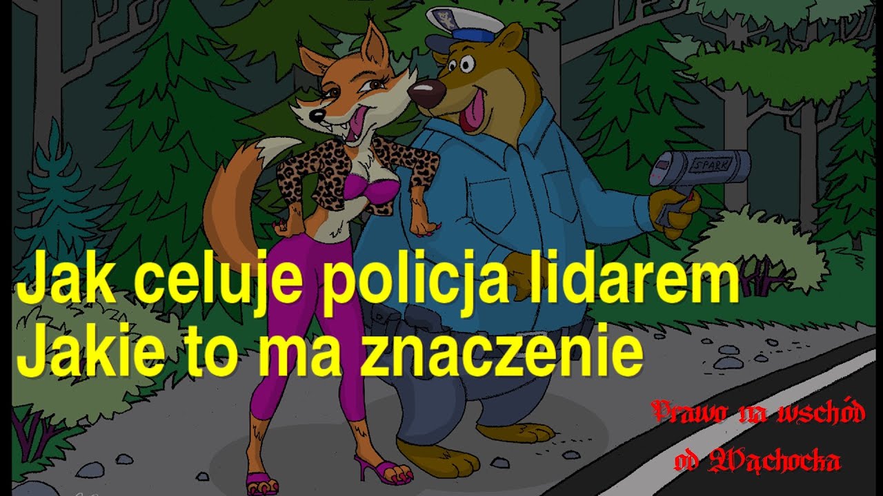 Jak celuje policja lidarem. Jakie to ma znaczenie.