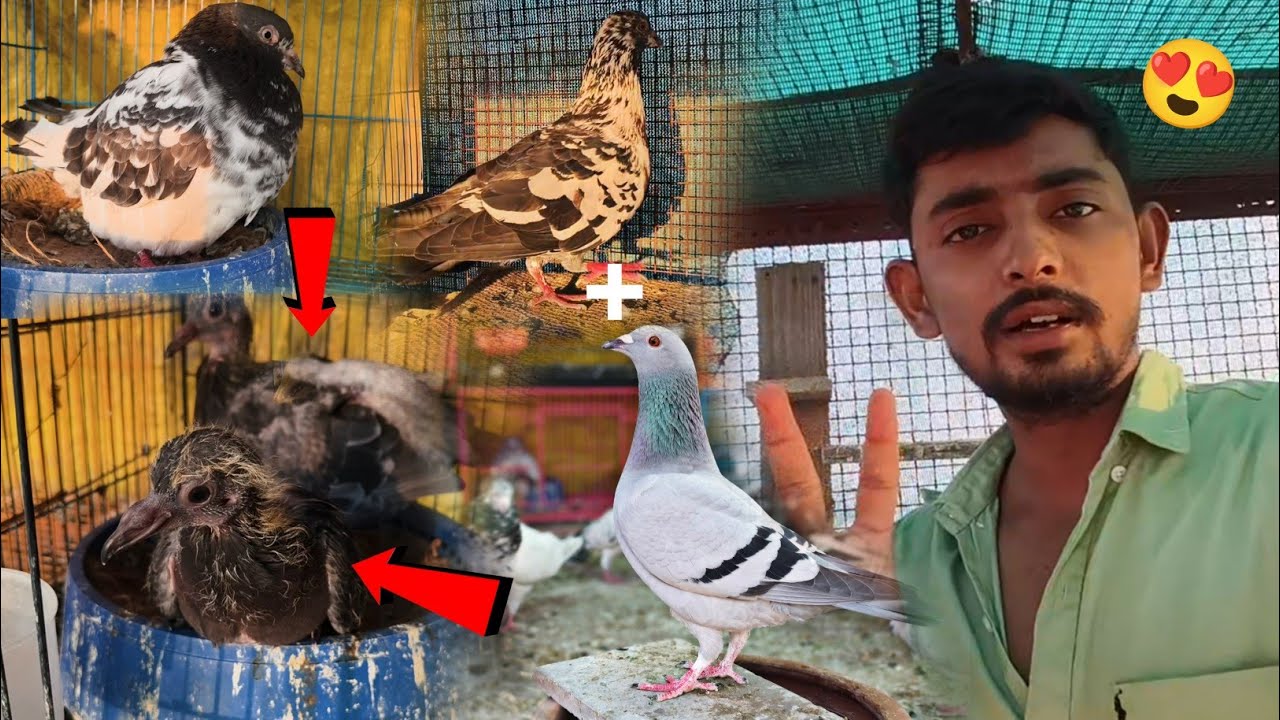 Baby 🕊️ !! Racer K Bache Aagye 😍
