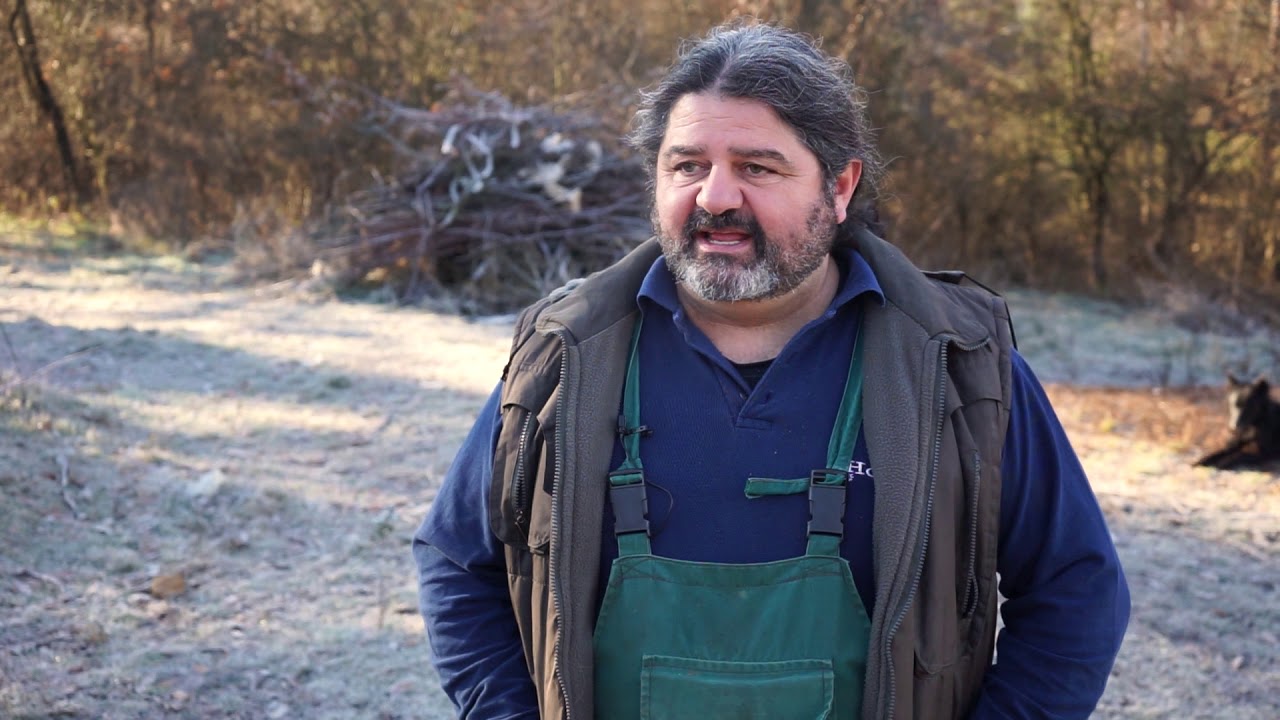 Autohtone vrste Srbije ep. 45 - 02.01.2020. - Pastirski psi