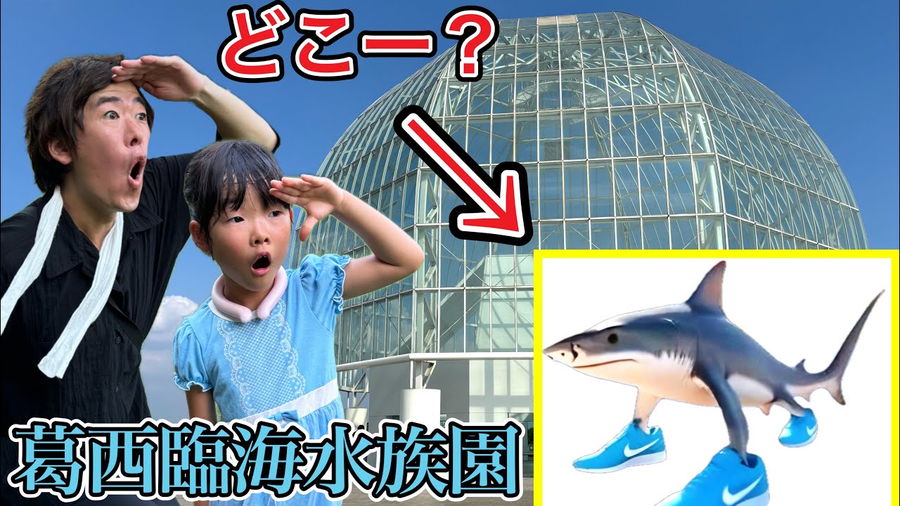 水族館でトララレロトラララにそっくりなサメを探したら奇跡がおきました…………🥺✨