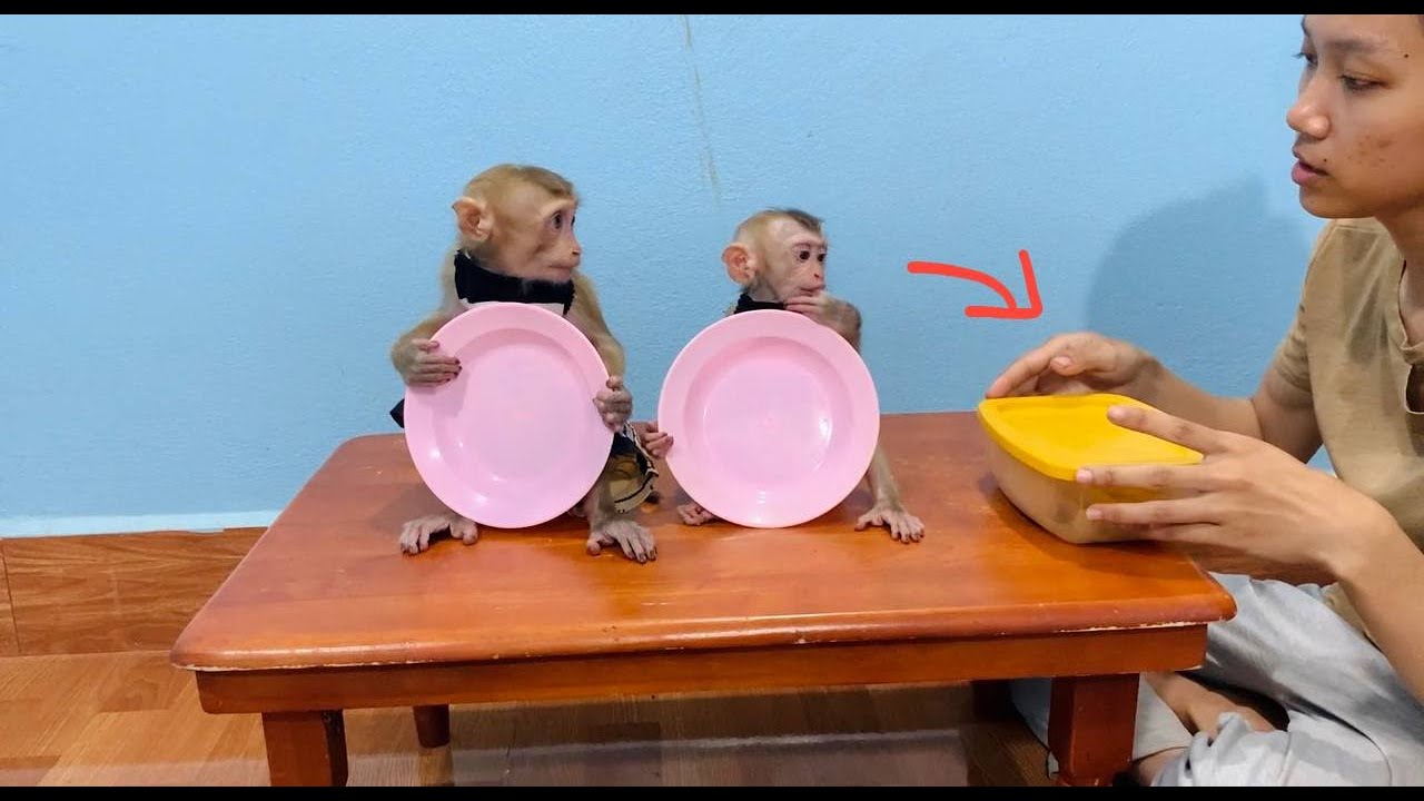 Smart Jasmine & Jueur Pretends Plate Waiting For Mom Allow Food