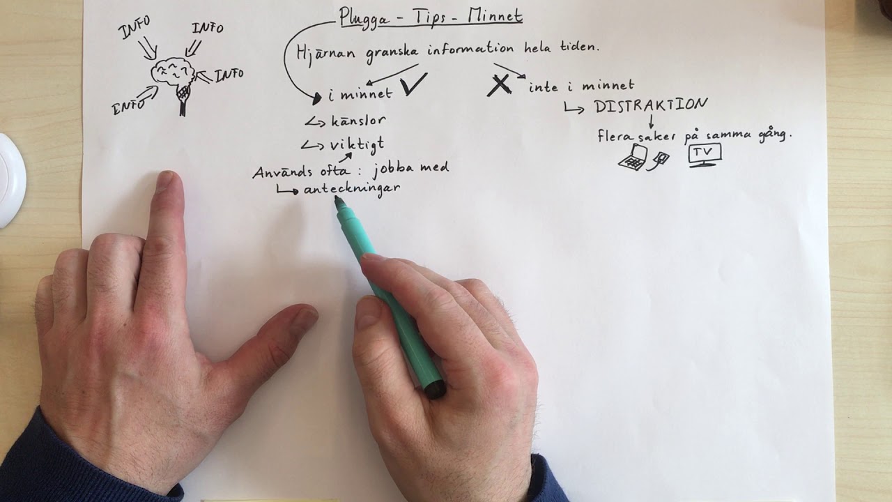 Plugga Tips: Minnet