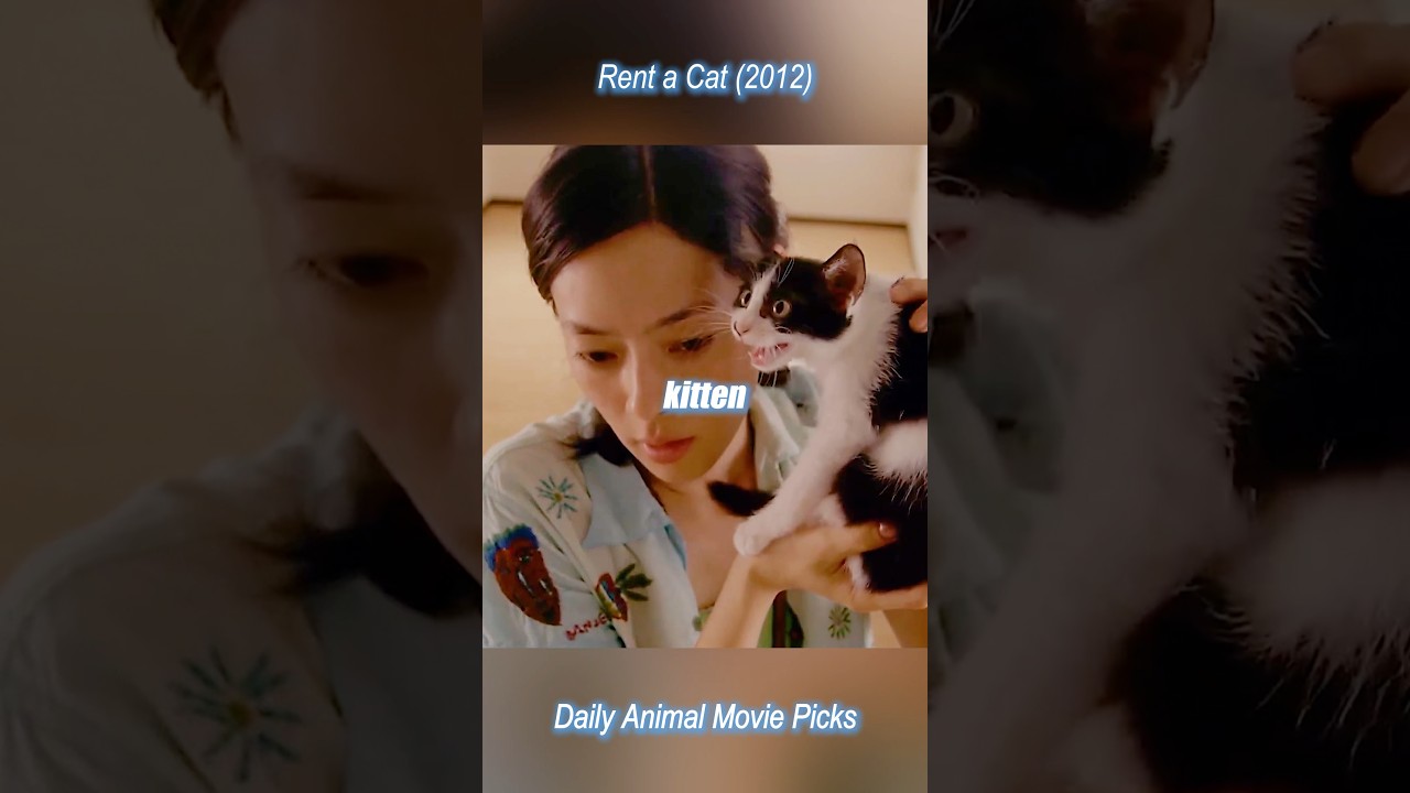 &ldquo;Ms. Cat&rdquo; rents her cat to lonely souls.😊#cat #movie