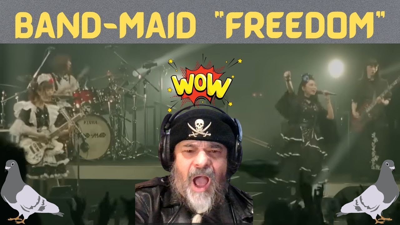 Metal Dude * Musician (REACTION) - BAND-MAID | 
