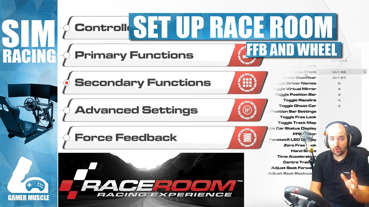 HOW TO SET UP WHEEL AND FFB IN RACE ROOM RACING EXPERIENCE