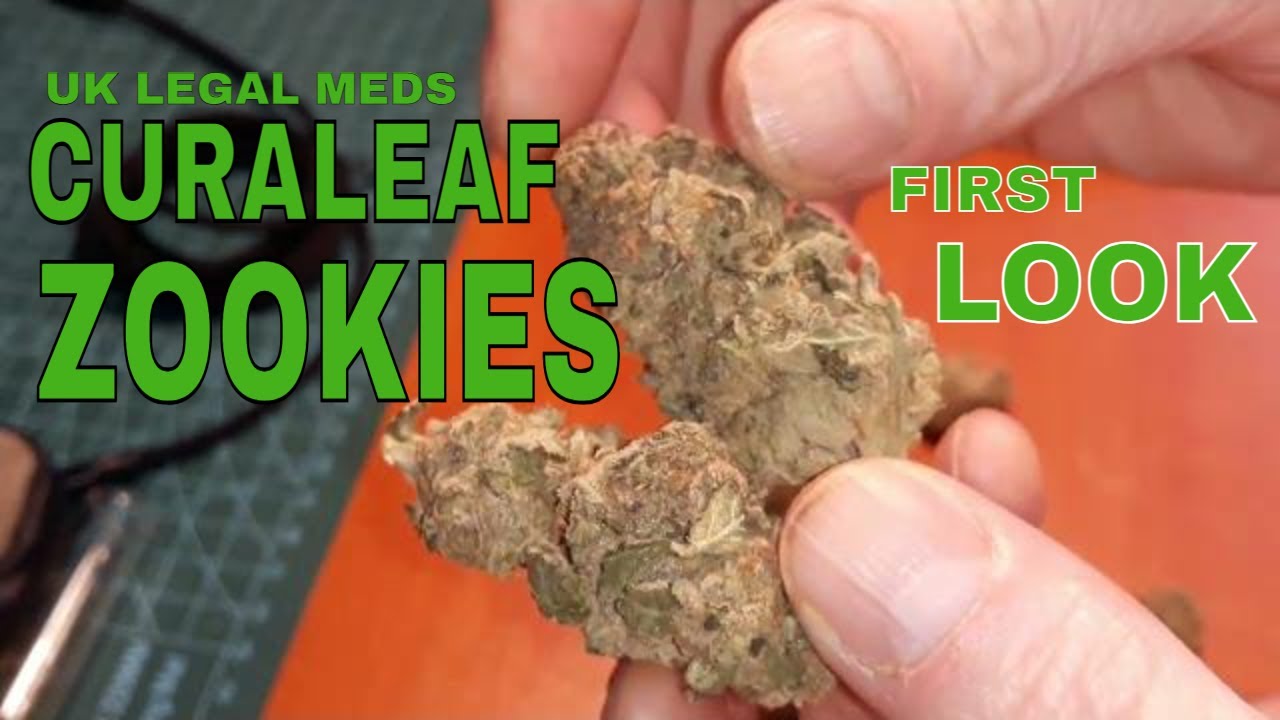 Curaleaf Zookies T26 Medical Strain Review First LOOK