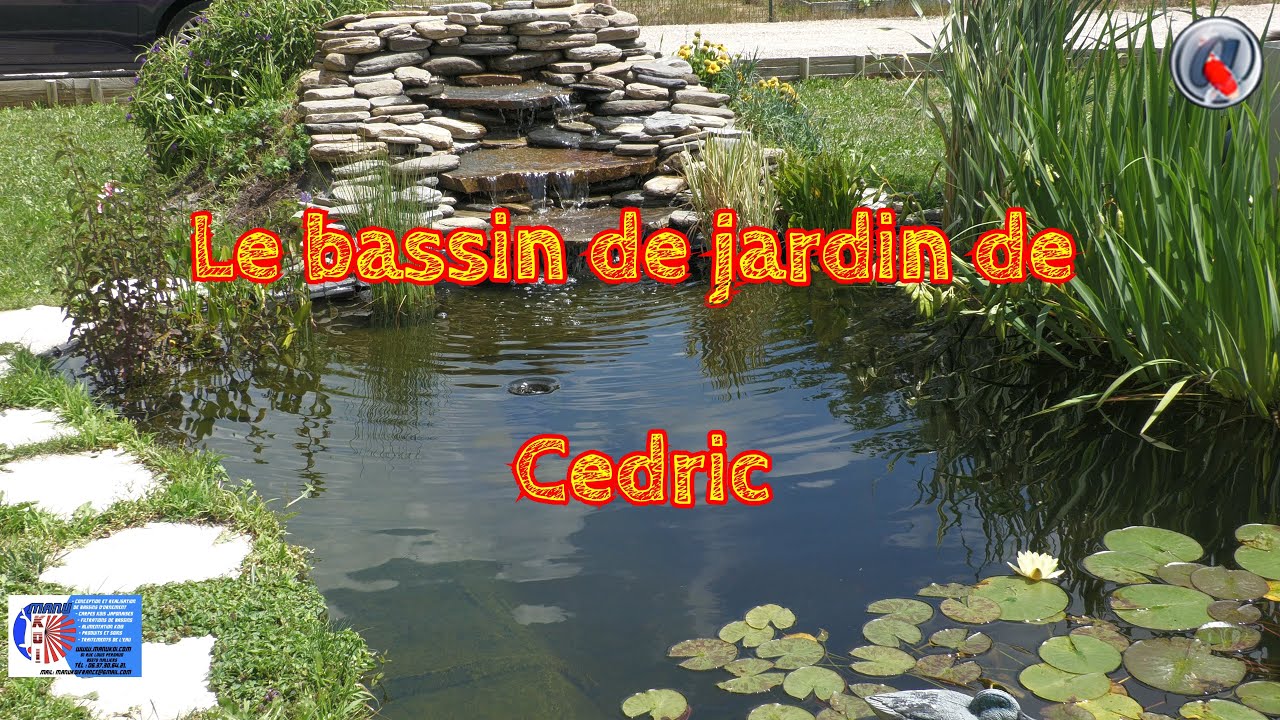 Le bassin de jardin de Cedric