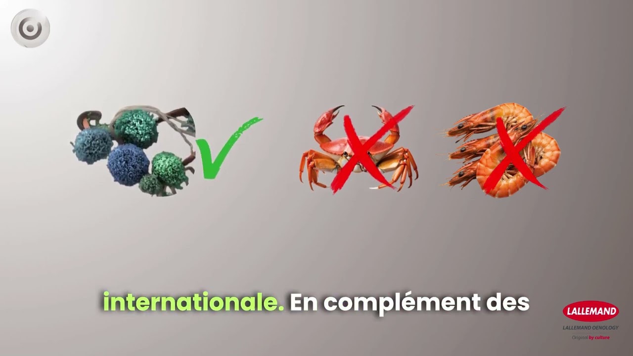 Confirmation de l'origine du chitosane