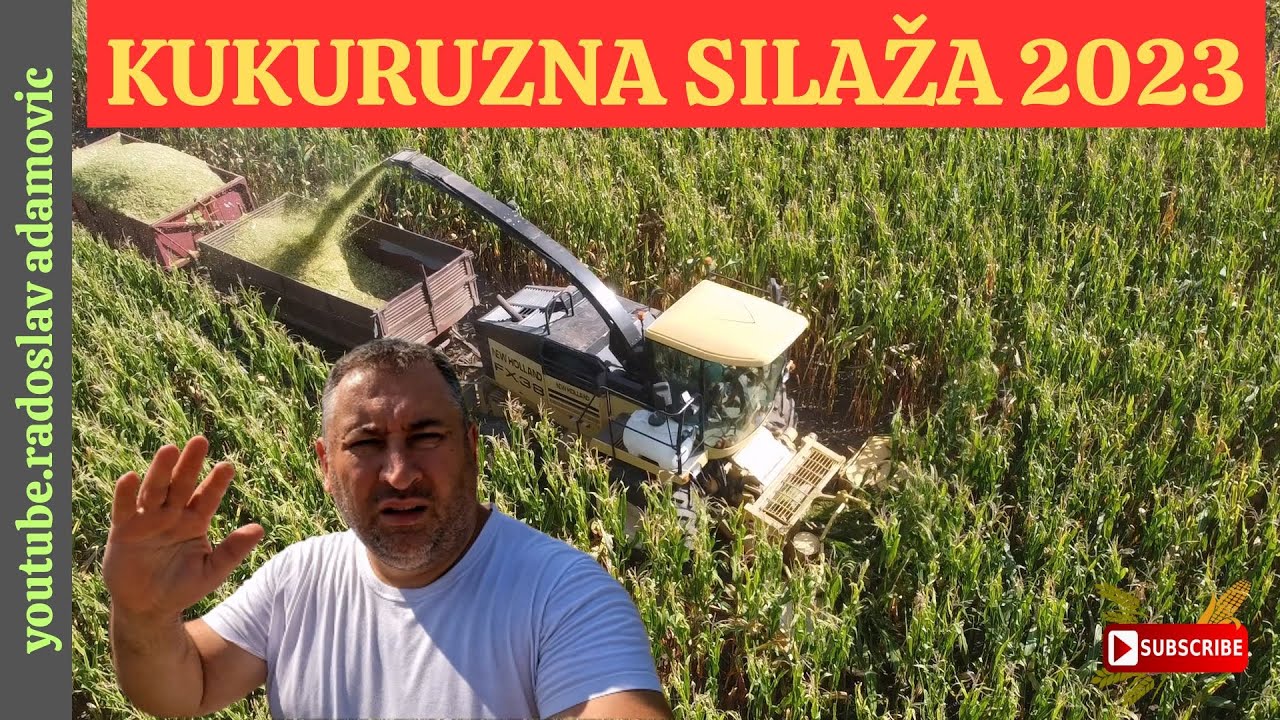 KUKURUZNA SILAŽA 2023. ; CORN SILAGE 2023.