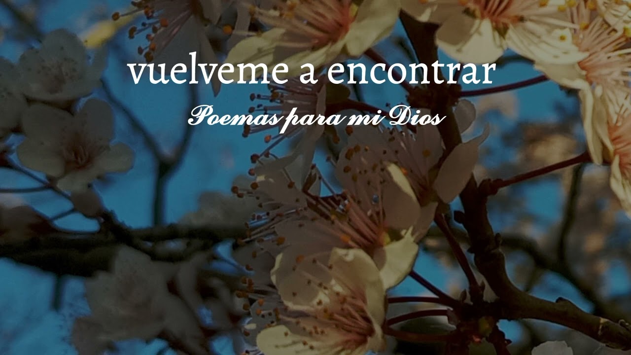 Vuelveme a encontrar