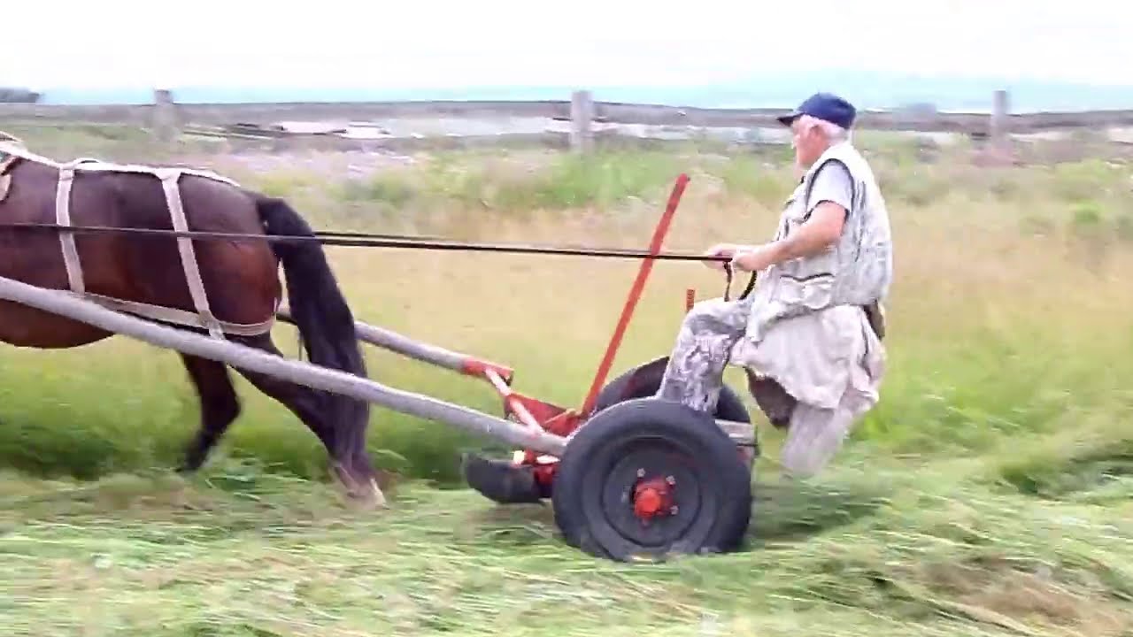 Экологический способ заготовки сена