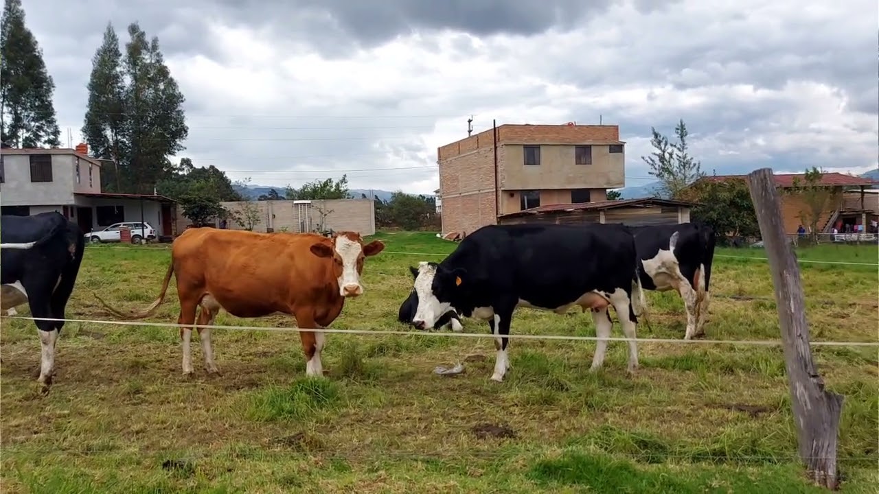 💧🌾 La Colpa sigue creciendo con agua y trabajo en equipo