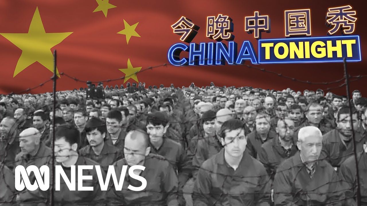 UN report accuses China of "serious human rights violations" | China Tonight | ABC News