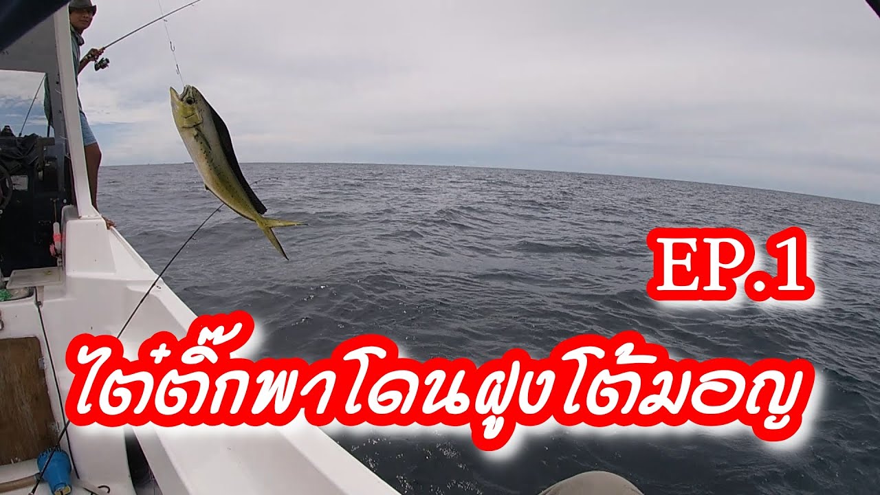 โดนฝูงโต้มอญถล่มบนเรือไต๋ติ๊ก ที่บางสะพาน ตอนแรก Crazy Mahi-Mahi fishing at Bangsaphan Ep.1