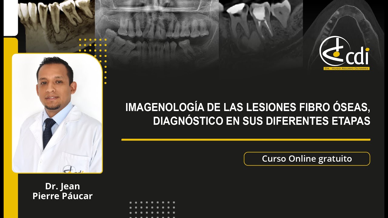 Conferencia Online 