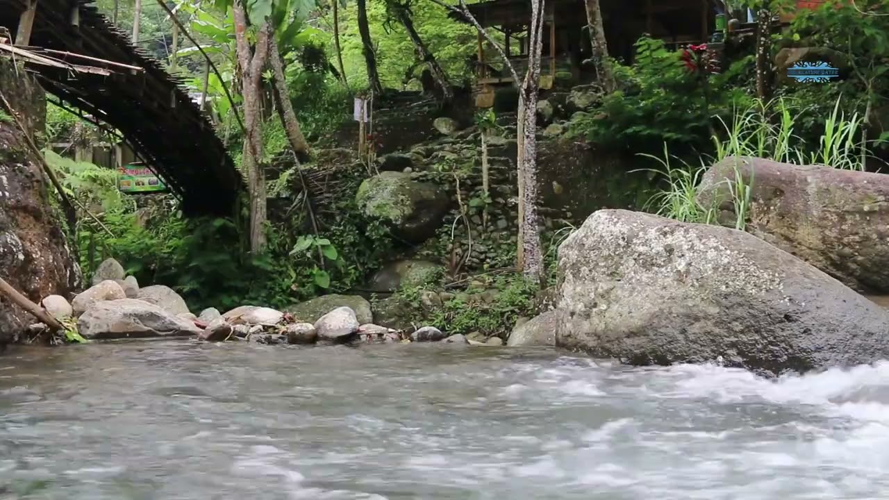 River Sounds for Sleep 🌊 8 Hours Relaxing Water White Noise 😴