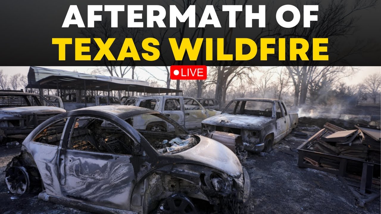 Texas Wildfire LIVE | Aftermath Of Texas Wildfire LIVE | Wildfires Trigger Evacuation From Texas