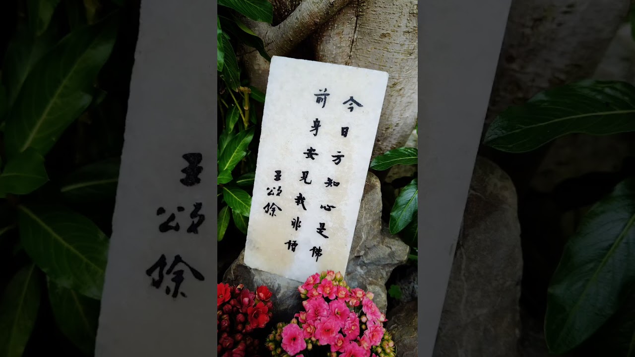 2026/1/26 釋迦牟尼佛成道日，金剛經+午供（感恩維那法師及諸位法師，感恩義工菩薩）