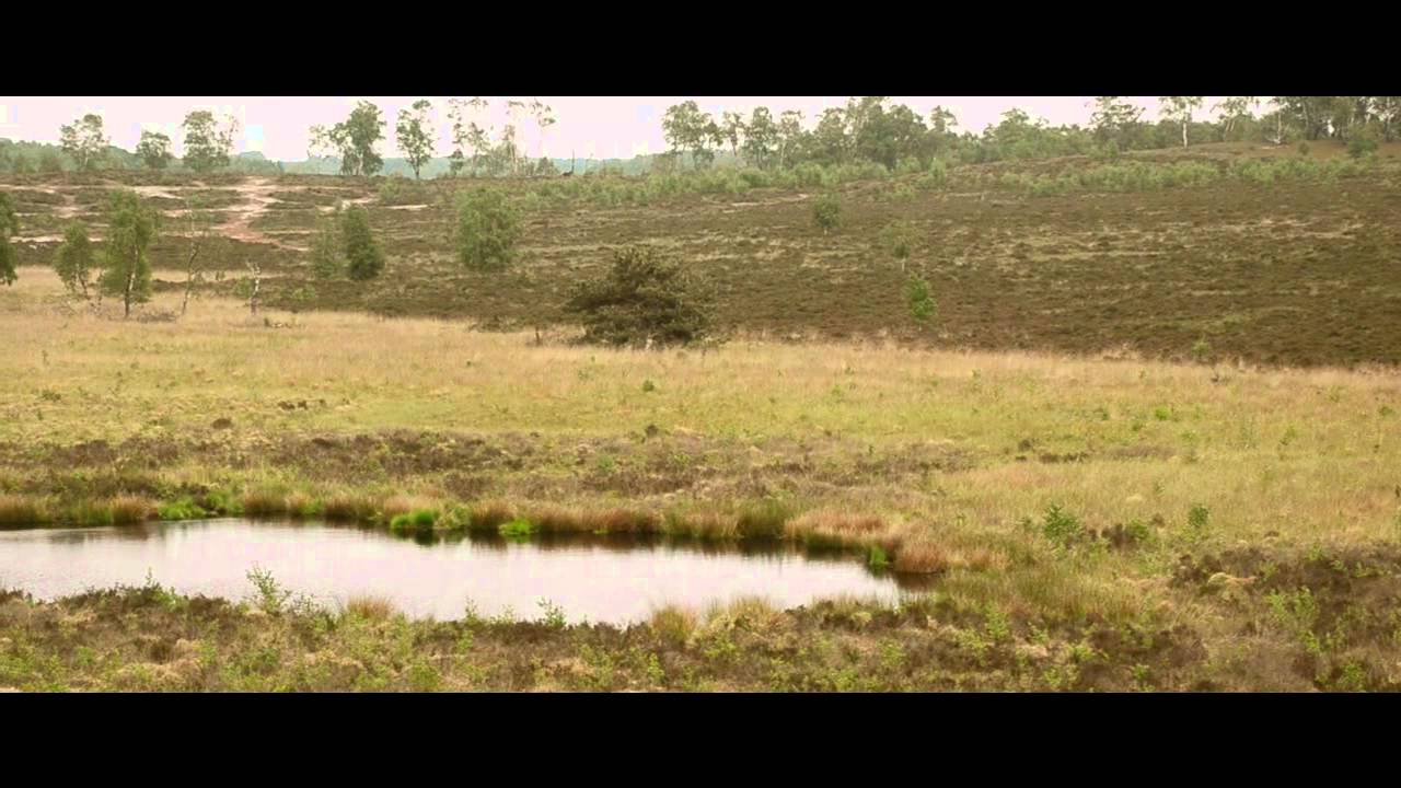 Nationaal Park De Maasduinen - achtergrondinformatie