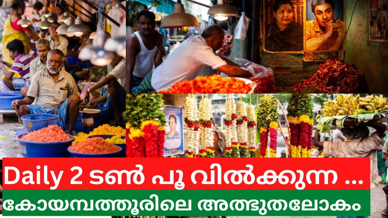 കോയമ്പത്തൂരിലെ പൂക്കളുടെ മായാലോകം | Flower market Coimbatore | MalluMagellan